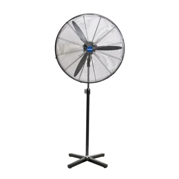 Pedestal Fan
